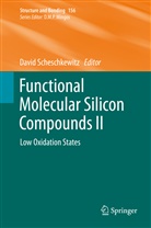 Davi Scheschkewitz, David Scheschkewitz - Functional Molecular Silicon Compounds II