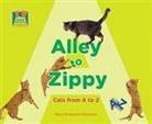 Mary Elizabeth Salzmann - Alley to Zippy