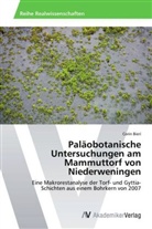 Corin Bieri - Paläobotanische Untersuchungen am Mammuttorf von Niederweningen