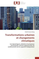 Cheikh Oumar Dieng, Dieng-c - Transformations urbaines et