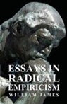 William James - Essays in Radical Empiricism