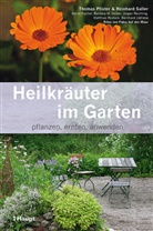 A. Fischer, Astrid Fischer, B Holzer, Barbara M. Holzer, T. Pfister, Thoma Pfister... - Heilkräuter im Garten