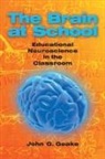 John Geake - Brain At School: Educational Neuroscience in the Classroom