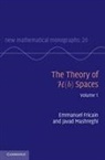 Emmanuel Fricain, Emmanuel Mashreghi Fricain, Javad Mashreghi - Theory of H(b) Spaces: Volume 1