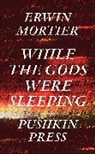Erwin Mortier, Erwin (Author) Mortier, Paul Vincent - While the Gods Were Sleeping