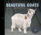 Felicity Stockwell, Andrew Perris, Felicity Stockwell - Beautiful Goats: Portraits of Classic Breeds Preened to Perfection