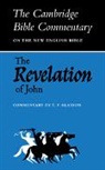 T. F. Glasson, T.f. Glasson, Glasson T. F., Thomas F. Glasson - The Revelation of John