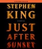 Stephen King, Jill Eikenberry, Holter Graham, George Guidall, Stephen King, Ron McLarty... - Just After Sunset (Audio book)