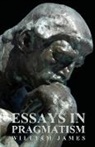 William James - Essays in Pragmatism
