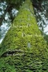 Thomas Salumets - Unforced Flourishing