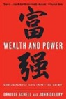 John Delury, Orville Schell, Orville/ Delury Schell - Wealth and Power