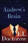 E. L. Doctorow, E.L. Doctorow - Andrew's Brain