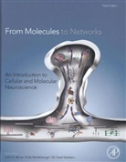 John H. Byrne, John Byrne, John H. Byrne, John H. (University of Texas Medical School Byrne, Byrne John H., Ruth Heidelberger... - From Molecules to Networks
