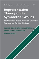 Tullio Ceccherini-Silberstein, Tullio Scarabotti Ceccherini-Silberstein, Fabio Scarabotti, Fabio (Universit... degli Studi di Roma 'La Sapienza' Scarabotti, Fabio (Universita degli Studi di Roma 'La Sapienza' Scarabotti, Filippo Tolli... - Representation Theory of the Symmetric Groups