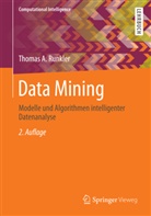 Thomas A Runkler, Thomas A. Runkler - Data Mining