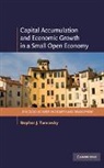Stephen J. Turnovsky, Stephen J. (University of Washington) Turnovsky - Capital Accumulation and Economic Growth in a Small Open Economy