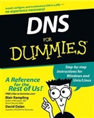 Dalan, David Dalan, Rampling, Blai Rampling, Blair Rampling, Blair Dalan Rampling... - Dns for Dummies