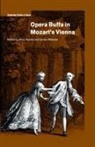 Mary Webster Hunter, Arthur Groos, Mary Hunter, James Webster - Opera Buffa in Mozart''s Vienna