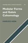 Haruzo Hida, Haruzo (University of California Hida, Bela Bollobas, W. Fulton - Modular Forms and Galois Cohomology