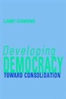 Larry Diamond, Larry (Director Diamond, Larry Jay Diamond, Diamond Larry - Developing Democracy