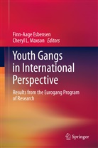 Finn-Aag Esbensen, Finn-Aage Esbensen, L Maxson, L Maxson, Cheryl L. Maxson - Youth Gangs in International Perspective