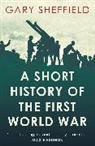 Gary Sheffield, Professor Gary Sheffield - A Short History of the Fist World War