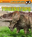 Janet Riehecky - Triceratops