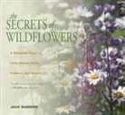 Jack Sanders - Secrets of Wildflowers