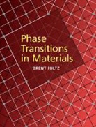 B. Fultz, Brent Fultz, Brent (California Institute of Technology) Fultz - Phase Transitions in Materials