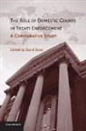 David Sloss, David Sloss - Role of Domestic Courts in Treaty Enforcement