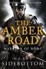 Harry Sidebottom - The Amber Road