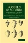 John Woodward - Fossils of All Kinds