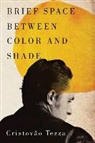 Cristovao Tezza - Brief Space Between Color and Shade