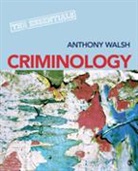 Anthony Walsh, Professor Anthony Walsh - Criminology