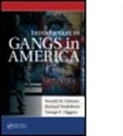 George Higgins, George (University of Louisville Higgins, Higgins George, Ronald M. Holmes, Ronald M. (University of Louisville Holmes, Holmes Ronald M.... - Introduction to Gangs in America