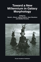 David L. Block, Dewet Ferreira, Ivâni Puerari, Ivânio Puerari, Alan Stockton, Alan Stockton et al - Toward a New Millennium in Galaxy Morphology