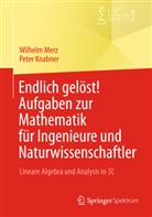 Peter Knabner, Wilhel Merz, Wilhelm Merz - Endlich gelöst! Aufgaben zur Mathematik für Ingenieure und Naturwissenschaftler