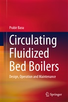 Prabir Basu - Circulating Fluidized Bed Boilers