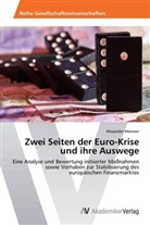 Alexander Meinzer - Zwei Seiten der Euro-Krise und ihre Auswege