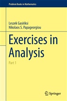 Leszek Gasi¿ksi, Lesze Gasinksi, Leszek Gasinksi, Leszek Gasińksi, Leszek Gasinski, Leszek Gasiski... - Exercises in Analysis