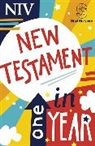 New International Version, New International Version, Soul Survivor, New International Version - NIV Soul Survivor New Testament in One Year