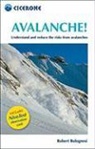 Robert Bolognesi - Avalanche