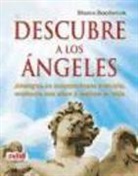 Marco Rocdevick - Descubre a los angeles : Averigua su sorprendente historia, contacta con ellos y mejora tu vida