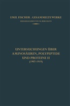 Emil Fischer, Bergmann, M Bergmann, M. Bergmann - Untersuchungen über Aminosäuren, Polypeptide und Proteine II (1907-1919)