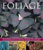 Bryan Greenwood, Greenwood Bryan - Foliage