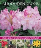 Lin Hawthorne, Linden Hawthorne, Hawthorne Lin - Rhododendrons