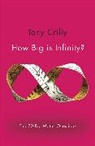 Tony Crilly, Crilly Tony - How Big Is Infinity?