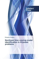 Eduardo Giraldo - Nonlinear time varying model identification in ill-posed problems