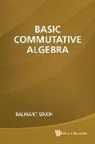 Balwant Singh, Balwant Singh, Singh Balwant - Basic Commutative Algebra