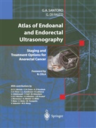 Giuseppe Di Falco, Giuseppe Di Falco, Treviso Di Falco, G. A. Santoro, Giulio Santoro, Giulio A Santoro... - Atlas of Endoanal and Endorectal Ultrasonography